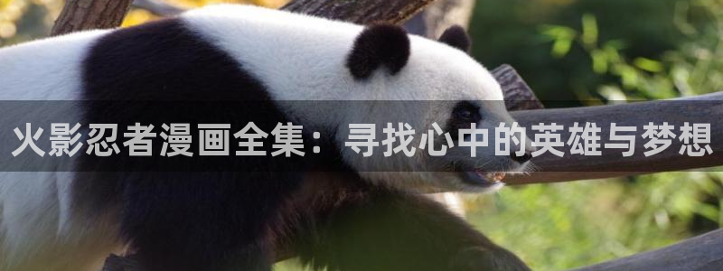 歪歪漫画首页登：火影忍者漫画全集：寻找心中的英雄与梦想