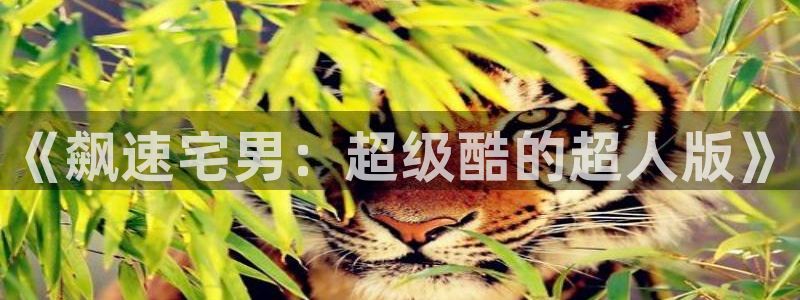 歪歪漫画韩版首页：《飙速宅男：超级酷的超人版》